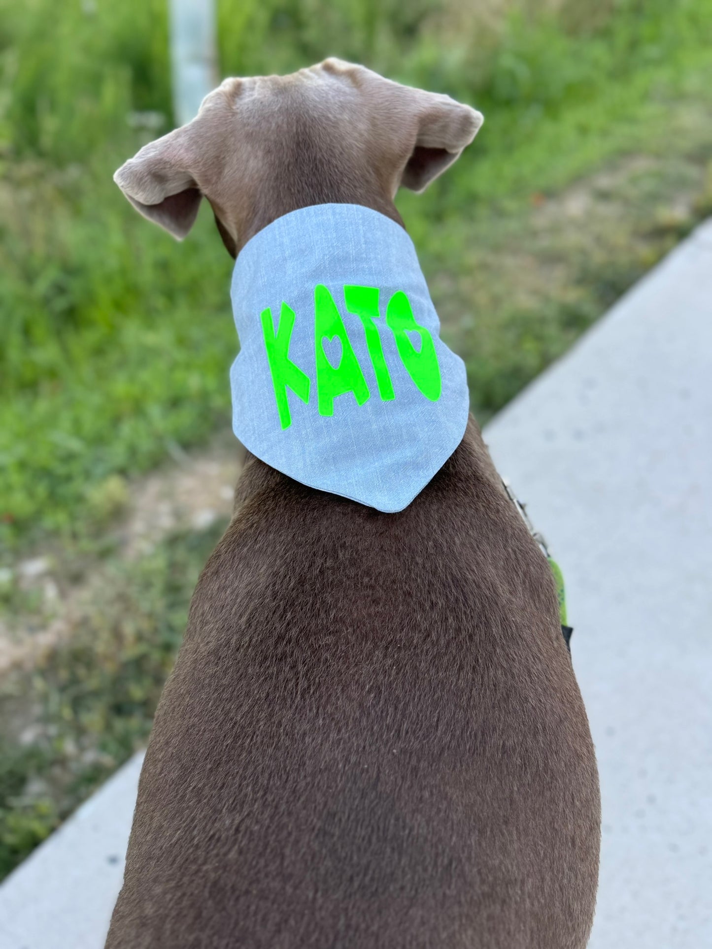 Custom Handmade Scrunchie Dog Bandanas – Stylish, Comfortable & Personalized Pet Accessory