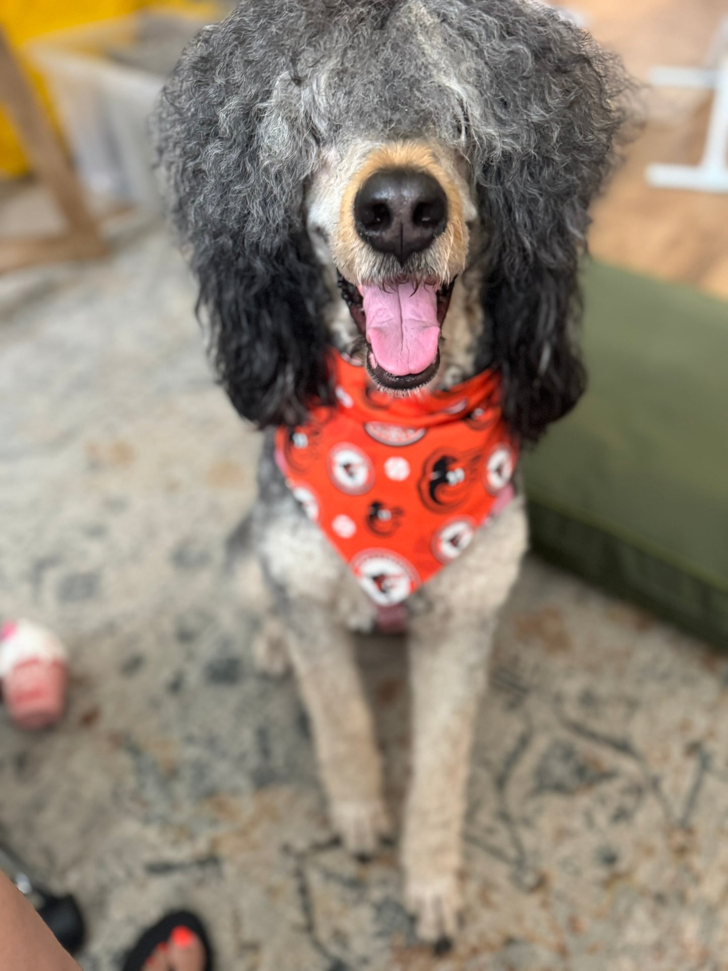 Custom Handmade Scrunchie Dog Bandanas – Stylish, Comfortable & Personalized Pet Accessory
