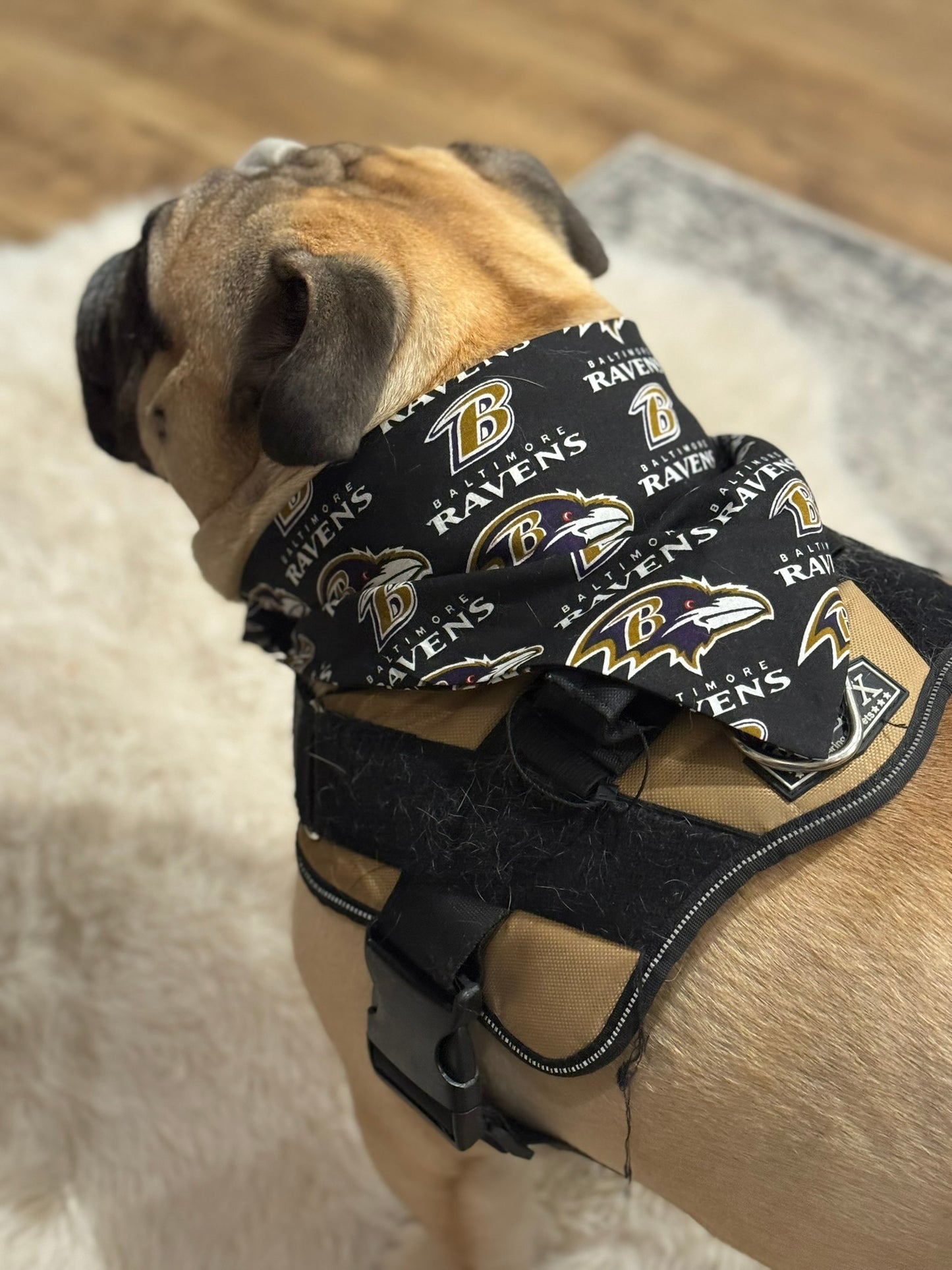 Custom Handmade Scrunchie Dog Bandanas – Stylish, Comfortable & Personalized Pet Accessory